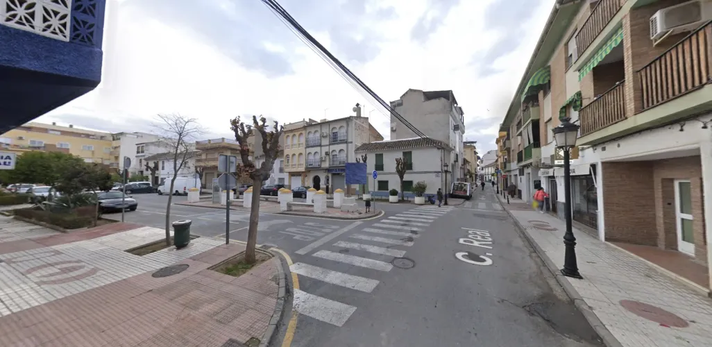 Real Nº 37, Churriana, Granada 18194, 0 ,2 BathroomsBathrooms,Local Comercial,En Venta,Real,0,1456