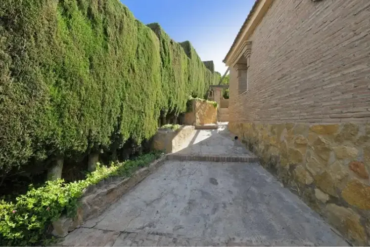 Diseminados48, El Puntal, Granada 18640, 7 Habitaciones Habitaciones, 0 ,3 BathroomsBathrooms,Chalet,En Venta,Diseminados,0,1464