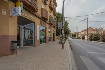 Progreso Nº 35, Gabia Grande, Granada 18110, 0 ,Local Comercial,En Venta,Progreso,0,1466